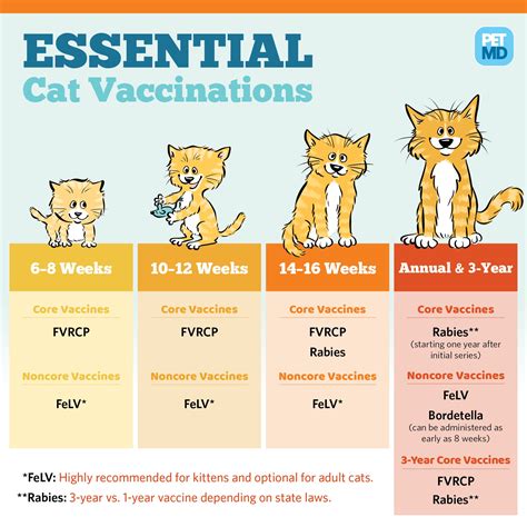 Vaccination Guidelines for Dogs and Cats .